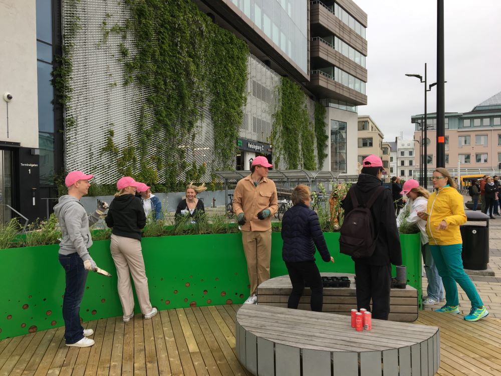 En grupp ungdomar iförda färgglada kläder och rosa kepsar planterar växter i en grön planteringslåda utomhus vid en byggnad klädd i växtvägg.