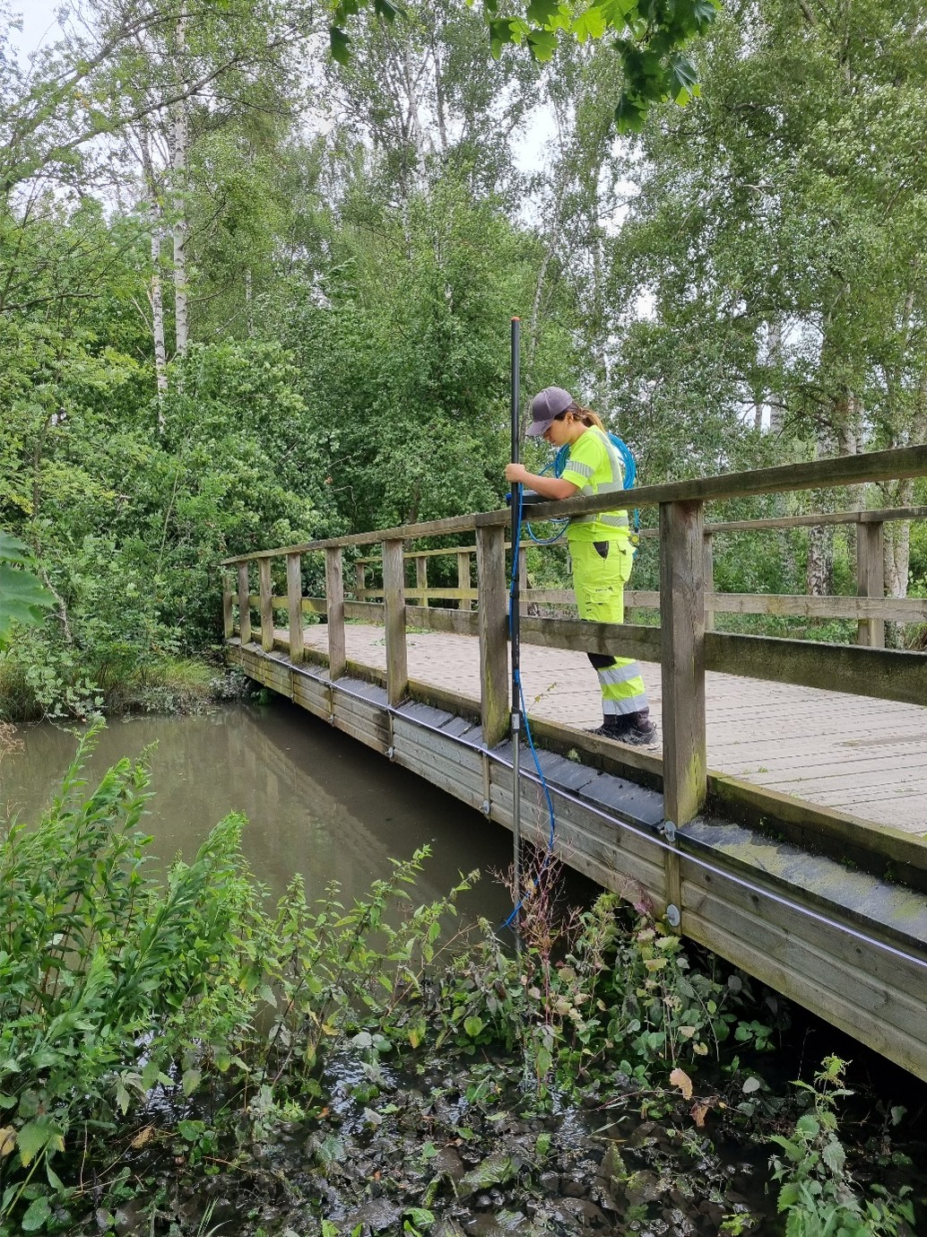 Miljötekniker tar vattenprov från träbro över å i grönskande park